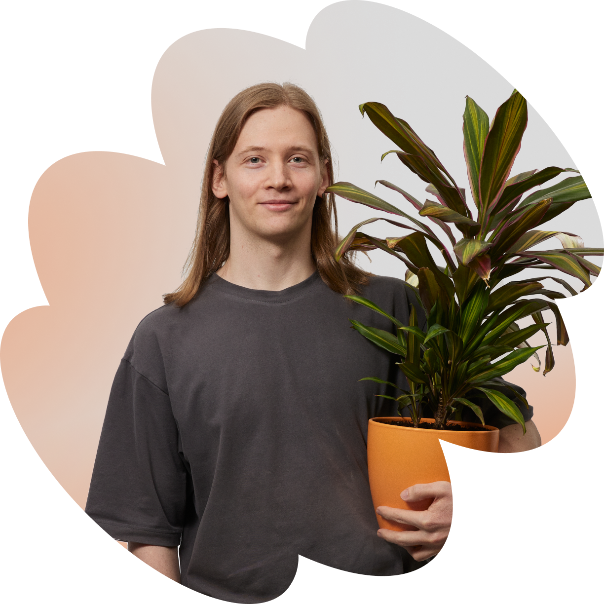 Образовательные программы Naumen