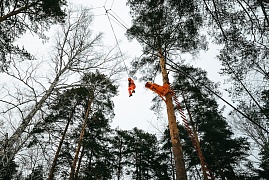 Новый год | Прыжок с 18-метрового дерева (Екатеринбург, 2018)