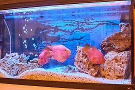 Зоны отдыха | Офис в Москве