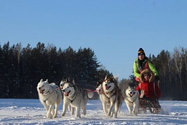 Катание на собачьих упряжках | Празднование Нового года 2018 (Екатеринбург)