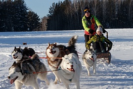 Катание на собачьих упряжках | Празднование Нового года 2018 (Екатеринбург)